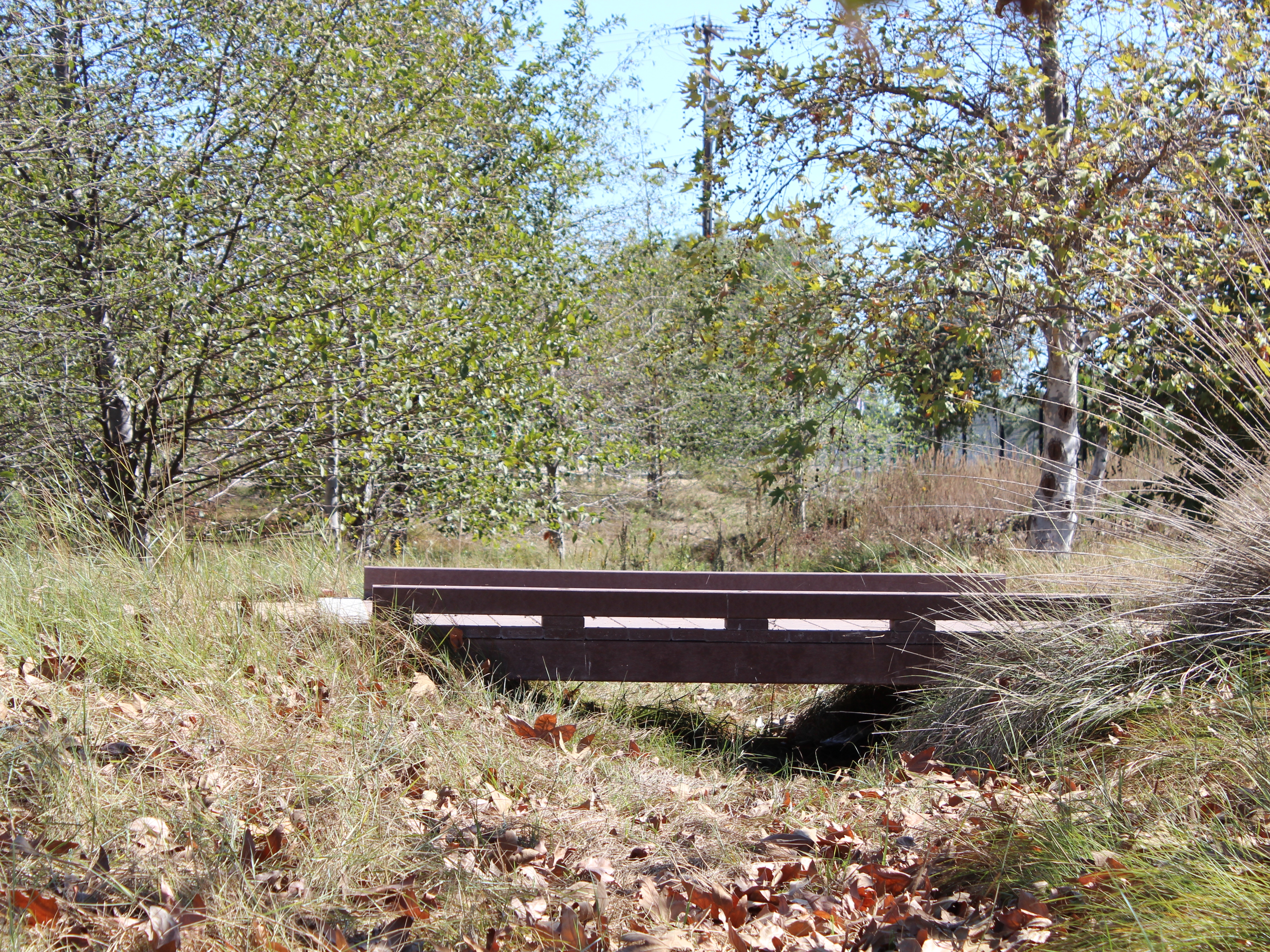 Compton Creek Natural Park